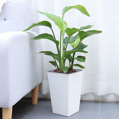 2 Pack Self Watering Planters 10.7" x 6.9" Planter for Indoor Plants White Self Watering Violet Pots Plastic Flower Pots Square Planter with 3D Wallpaper Pattern