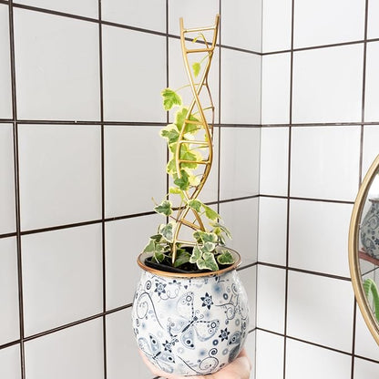 3PCS DNA Plant Trellis Indoor and Outdoor - Lightweight Metal Trellis for Potted Plants, Hoya & Pothos Climbing Support, Artistic Geometric Design, Durable & Easy Installation