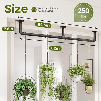 Bamworld Window Plant Hanger Indoor 63in Hanging Planters for Indoor Plants Hanging Plants Holder Hanging Rod Window Plant Shelves Wall Planters Pot/Chain/Plant Not Included(Black)