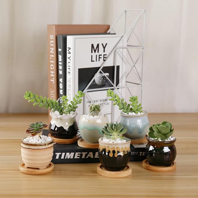 Ceramic Succulent Pots, 12-Pack Mini Planters with Flowing Glaze
