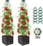 2 Pack Raised Garden Bed Planter Box with Trellis, 58”Tomato Planter with Trellis for Climbing Plants Vegetables Vine Flowers, Self-Watering Tomato Cage for Garden Patio Outdoor & Indoor