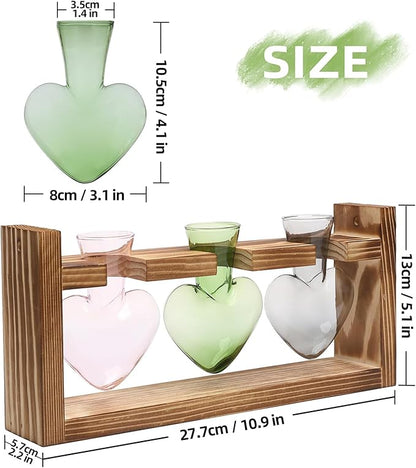 Terrarium Set Heart Shaped Glass Vases with Wood Stand, 3 Pieces