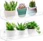 2 Pack 12 Inch Acrylic Window Boxes Plant Shelves, with Suction Cup Window Sill Extender, for Indoor/Outdoor Succulents, Micro Greens, Seed Starter Pots, Herb Planters
