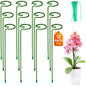 12 Pack Plant Support Stakes with 24 Pcs Plant Clips, Garden Single Stem Support Stake, Plant Cage Support Ring for Indoor Outdoor Flowers Rose Amaryllis Tomatoes Peony Lily Orchid