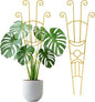 33 Inch Tall Expandable Metal Trellis for Potted Plants, Rustproof Expandable Indoor Outdoor Plant Support Trellis for Climbing Plants, Monstera, Ivy, Hoya with Sturdy Weighted Base (Gold)