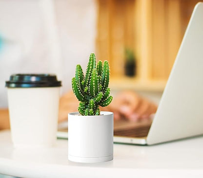 Planters: 12 Matte White Plastic Pots with Drainage Holes and Saucers