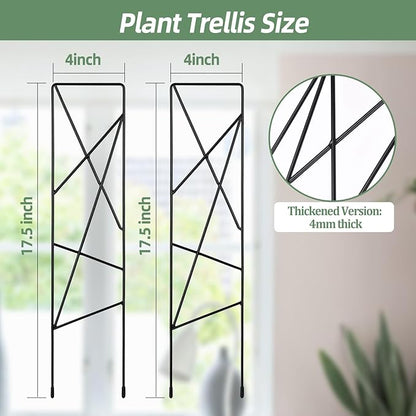 17.5 Inch Indoor Plant Trellis for Climbing Plants,Metal Trellis,Small Garden Trellis for Potted Plants,Plant Stakes for Indoor Plants Accessories Hoya,Flower,Plant Support (Star-Metal)