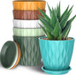 6 Pack 6 Inch Indoor Plant Pots with Drainage Holes, Outdoor Plastic Decorative Flower Pots, Garden Planters with Tray Saucers for Orchids, Violets, Succulents, Herbs, and Other Plants