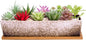 Succulent Pots - Large Succulent Planter Pots with Drainage, 12 Inch Long Rectangle Bonsai Pot with Bamboo Tray Shallow Ceramic Cactus Flower Planter Window Box for Home Garden Decor (White)