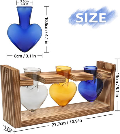 Heart-Shaped Glass Propagation Terrarium Set with Wood Stand