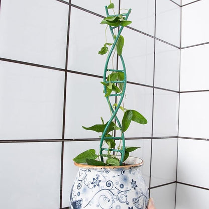 Indoor Plant Trellis for Potted Plants - Upgraded Metal Spiral Design for Climbing Plants, Durable Powder Coated Support for Small Houseplant Pots, Ideal for Indoor & Outdoor Use