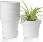 T4U 6 Inch Plant Pot 8-Pack, Plastic Planter with Drainage Hole and Saucer, Decorative Nursery Pots Bulk for African Violet, Snake Plant, Succulent, Herb and Plants Indoor (8 Pcs 6" Pots, White)