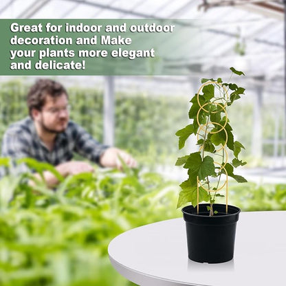 17.5 Inch Indoor Plant Trellis for Climbing Plants,Metal Trellis,Small Garden Trellis for Potted Plants,Plant Stakes for Indoor Plants Accessories Hoya,Flower,Plant Support (Golden-Metal)