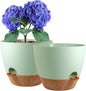 8 inch Self Watering Pots, 2 Pack Plastic Planters with Mesh Drainage Holes for Garden Plants and Flower, Plants Pots with Deep Reservoir for Indoor Outdoor Plants, Green with Brown