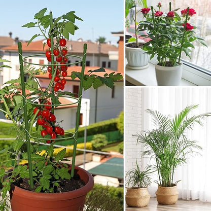 4 Pack Tomato Cage for Garden Plant Support, 24 inches Small Tomato Cages Tomato Trellis with Adjustable Rings, Plant Stakes for Peony Support, Tomato Stakes Rings for Climbing Plants