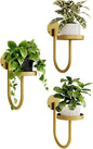 Bamworld Wall Plant Holder Wall Planters for Indoor Plants Plant Hanger Indoor Window Plant Shelves Hanging Plant Holder Window Plant Hanger Plant Decor Golden 3pcs