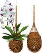 Handmade 100% Thai Bamboo Super Sanctuary Hanging Orchid Basket - 6 Inch Set of 2