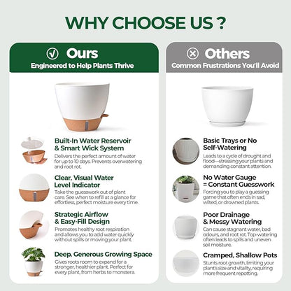 T4U 3 Pack Self Watering Pots (8"+10"+12") - Water Level Indicator & Deep Reservoir, Mess-Free Planters for Busy People, Beginners & Gardeners, Fits Pothos to Monstera, Indoor Outdoor Use (White)