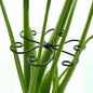 4PCS Green Iron Monstera Support, Uniquely Designed Plant Support Stakes for Indoor Plants, Stable Plant Stakes and Supports, Turtle Shell Bamboo Clamp Set for Thriving Growth