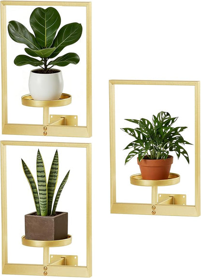 Wall Hanging Plant Stands Planter Shelves, Indoor Outdoor Window Plant Hanger Decor for Living Room Entryway (Gold 3-Pack)