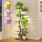 iDavosic.ly 5 Tier Indoor Plant Stand with Grow Light, Corner Tall Metal & Wood Flower Shelf, Orchid Display Rack for Living Room Balcony, Space Saving & Multifunctional Display, Black & Brown