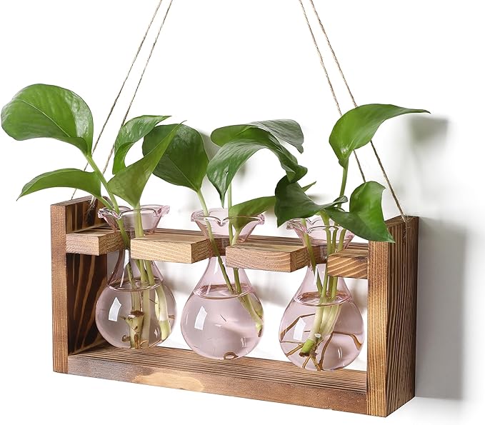 Terrarium Propagation Station with 3 Pink Glass Bulbs and Wooden Stand