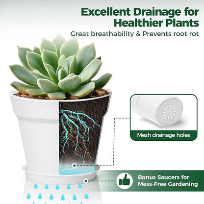 T4U 6 Inch Plant Pot 8-Pack, Plastic Planter with Drainage Hole and Saucer, Decorative Nursery Pots Bulk for African Violet, Snake Plant, Succulent, Herb and Plants Indoor (8 Pcs 6" Pots, White)