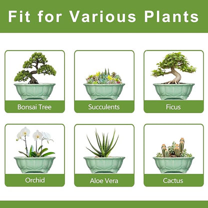 Bonsai Pots 11 Inch - Ceramic Succulent Pots with Drainage Hole, Oval Planter for Indoor Outdoor, Decorative Ceramic Flower Pot, Home Garden Room Decor, Plant Lover Gifts, Green