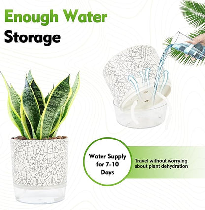 Self Watering Pots for Indoor Plants, 6 & 5 & 4 Inch Stylish Flower Pots, Set of 3 Modern Planters with Self-Watering Feature (Crack Texture)