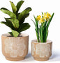 YBX 8 Inch + 6 Inch White Flower Pattern Plant Pots, Sand Glazed Ceramic Planter with Drainage Hole, Flower Pots for Indoor Plants, Tan & White