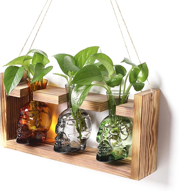 Terrarium Set with 3 Skull Glass Vases and Wood Stand