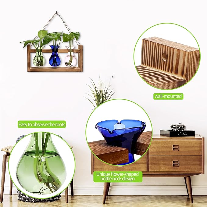 Terrarium Propagation Station with Three Glass Bulbs and Wooden Stand
