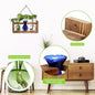 Terrarium Propagation Station with Three Glass Bulbs and Wooden Stand