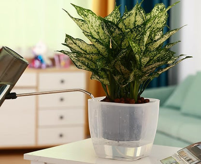 6-Pack 7 Inches Clear Self Watering Planters for Indoor Plants Large African Violet Plant Pots Plastic Wick Flower Pots with Water Injection Hole, Orchid Plant Pot Set, Clear