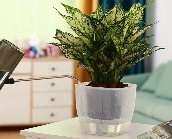 12-Pack Clear Self Watering Planters for Indoor Plants 7" Large African Violet Plant Pots Plastic Wick Flower Pots with Water Injection Hole, Orchid Plant Pot Set, Clear