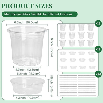 12 Pack 6.5 Inch Clear Self Watering Plant Pots with Bottom Water Tray & Watering Rope, Transparent Nursery Pots with Drainage for Seedlings, Herbs, and Houseplants