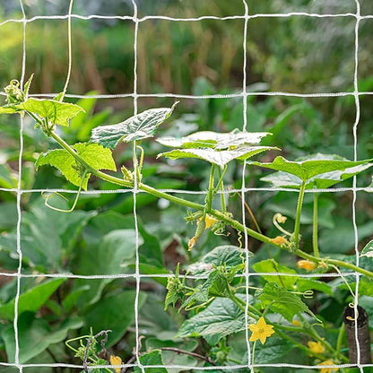 Tcamp Heavy-Duty Polyester Garden Trellis Net Plant Support Netting for Climbing Plants Outdoor, Flexible String Net for Bean Pea, White Grow Tent (5Ft x 30Ft, 3.5" Opening Mesh, 1 Pack)