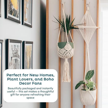 Nook Theory 4-Pack Macrame Plant Hangers with 8 Hooks - Hanging Planters for Indoor Plants, Boho Macrame Hangers Indoor Outdoor, Decorative Plant Hanger Indoor (Light Gray)