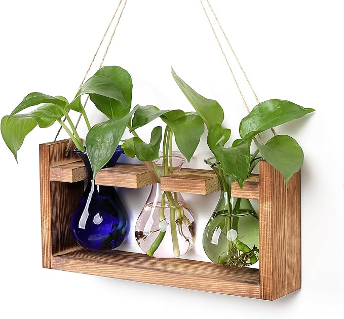 Terrarium Propagation Station with Three Glass Bulbs and Wooden Stand