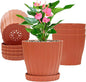Plastic Flower Pots, 5 Pack 6 inch Indoor Plant Pots Planters for Outdoor Plants Flowers Garden Patio Home Nursery Decor Gifts,Large Succulent Pots with Drainage Tray Saucer & Hole Terracotta