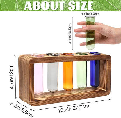 Terrarium Propagation Station with 5 Borosilicate Glass Test Tubes