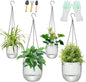 Self-Watering Hanging Planter for Indoor Plants - Easy Care, Long Lasting - Perfect for Herbs, Succulents, and More (White Transparent)