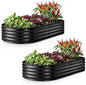 Plant & Plot Galvanized Raised Garden Beds Outdoor // 6×3×1 ft (2-Pack) Planter Raised Beds for Gardening, Vegetables, Flowers // Large Metal Garden Box // Patented Tool-Free Design (Black)