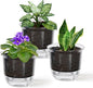 Self Watering Pots, 3 Pack 4 Inch Clear Plant Pot Self Watering Planter Flowers Pot with Deep Reservoir for Indoor Plants (3 Small)