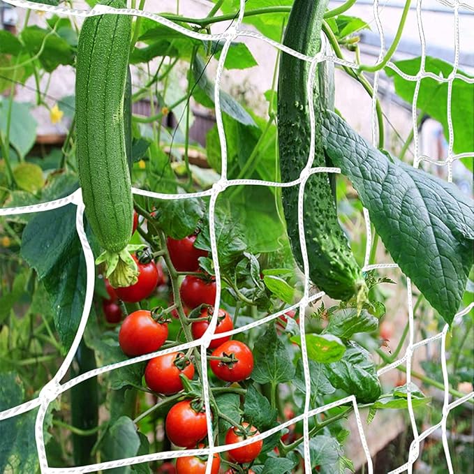 Trellis Netting, CANAGROW Heavy-Duty Garden Plant Trellis Netting for Climbing Plants, Outdoor Indoor Grow Net for Beans Tomatoes Peas Pumpkin Flowers, 6x15ft, Pack of 2