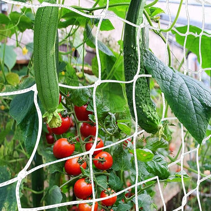 Trellis Netting, CANAGROW Heavy-Duty Garden Plant Trellis Netting for Climbing Plants, Outdoor Indoor Grow Net for Beans Tomatoes Peas Pumpkin Flowers, 6x30ft, 1 Pack