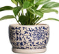 SQOWL Ceramic Planters for Indoor Plants - 8 inch Plant Pot with Drainage Hole and Saucer, Decorative Flower Pot Outdoor, Porcelain Round Planter, Living Room Decor, Gardening Gifts, Blue and Beige