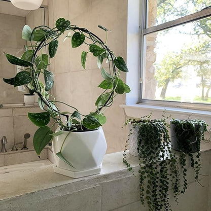 Acrux7 10 Pcs Circle Indoor Plant Trellis for Potted Plants, 10 Inch Small Hoya Trellis for Climbing Plants, Vines, Topiary Frames