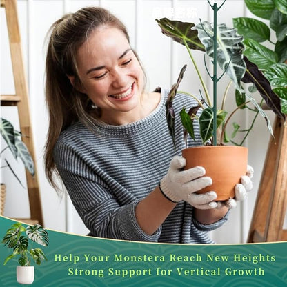 5 Pack Stackable Plant Support Stakes, 38inch Climbing Plant Sticks Structures for Monstera with Garden Ties, Durable Alternative to Moss Pole for Indoor Outdoor Plants