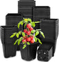 Anyumocz 100Pcs Square Plant Nursery Pots,3.5 Inch Plastic Pots with Drainage Holes,Reusable Seed Starter Pots for Flowers,Vegetables,Garden Planting,Transplanting,Succulents,Cuttings(Black)